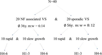 Analysis of tumor microenvironment composition in vestibular schwannomas: insights into NF2-associated and sporadic variations and their clinical correlations